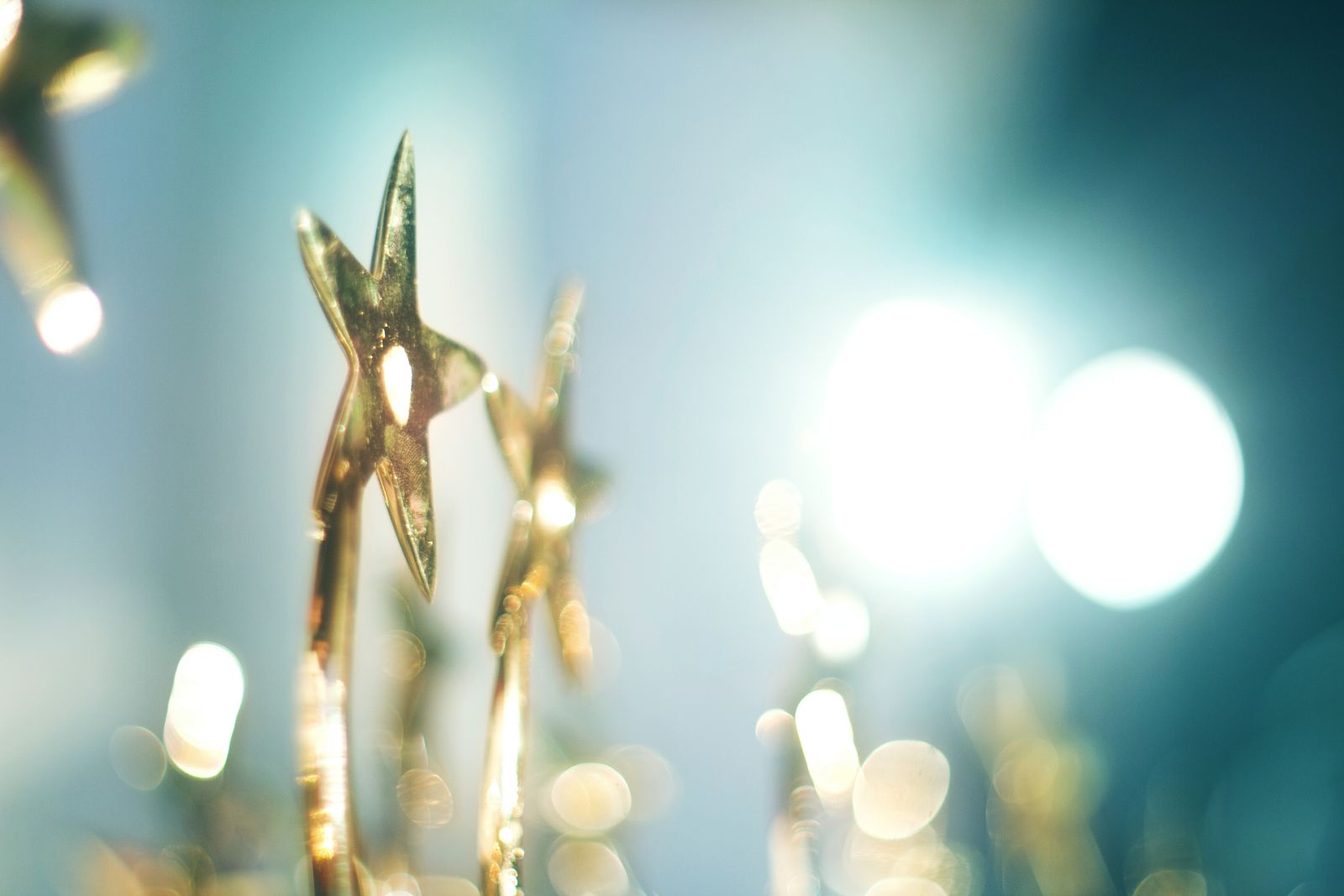 Awards